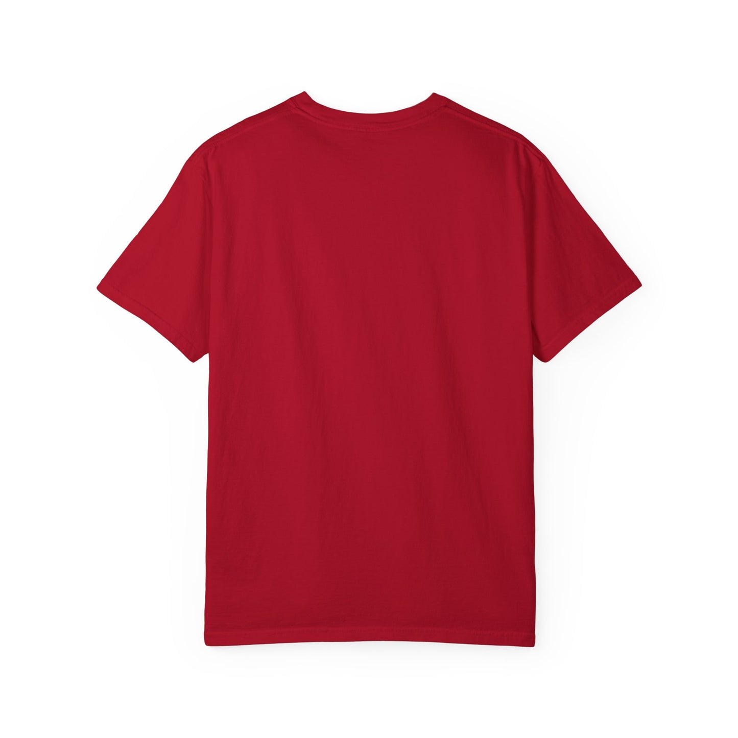 Motivational Quote T-Shirt - 'Everybody Has a Plan Until They Get Punched in the Mouth'